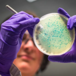 Paso 1: diagnostico de la enfermedad periodontal y plan de tratamiento